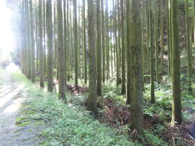 佐賀県伊万里市松浦町山形