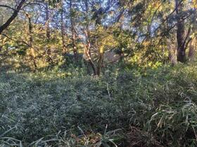 神奈川県足柄下郡箱根町仙石原