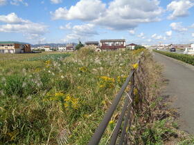 徳島県徳島市川内町平石若松
