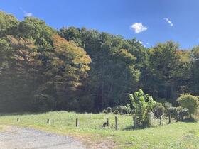 山梨県北杜市小淵沢町