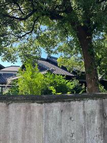 愛知県東海市高横須賀町土居之内