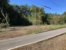 山梨県北杜市大泉町谷戸