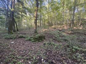 長野県北佐久郡軽井沢町大字軽井沢