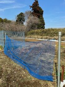 千葉県佐倉市直弥