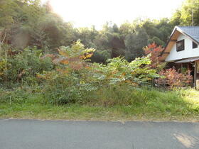 栃木県芳賀郡市貝町大字市塙