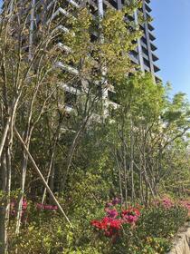 福岡県福岡市東区香椎照葉6丁目