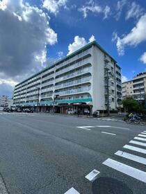 グリーンマンション野間