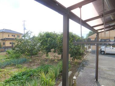 代表画像_外観@219003647393