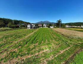 山梨県北杜市長坂町白井沢