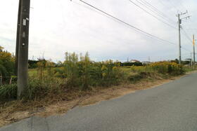 千葉県山武郡九十九里町真亀