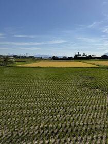 鹿児島県霧島市隼人町見次