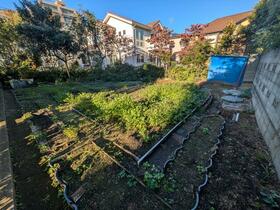 神奈川県相模原市南区東林間６丁目