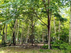 長野県南佐久郡川上村大字原