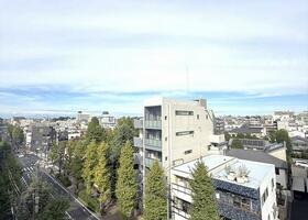 藤和世田谷コープ?