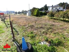 福島県田村郡三春町大字鷹巣字薬師堂