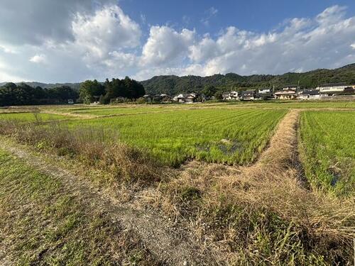 Land, Yosano Town, Kyoto