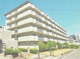 コスモハイツ光明池Ａ棟５１６号室　美装渡し　泉北高速光明池駅歩いて７分