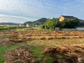 香川県丸亀市綾歌町岡田西
