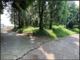 熊本県阿蘇郡南阿蘇村大字吉田