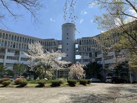 シャンボール軽井沢