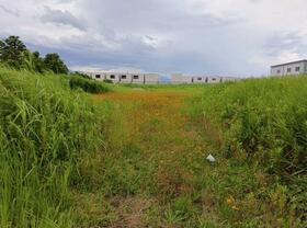 新潟県上越市大字福橋