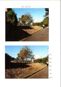 静岡県伊豆の国市中