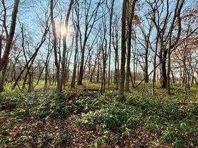 北海道恵庭市恵南