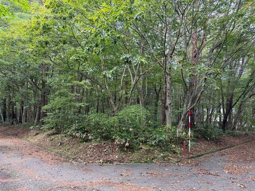 Land, Tenei Village, Fukushima