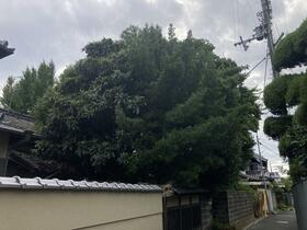 奈良県橿原市中曽司町