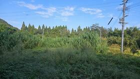 鹿児島県日置市吹上町田尻