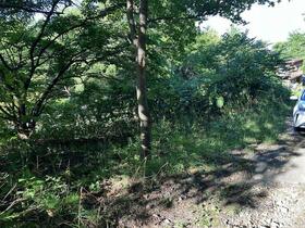 北海道札幌市西区山の手