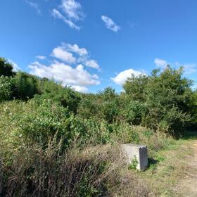 香川県丸亀市綾歌町栗熊東