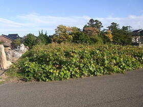 石川県羽咋市石野町ホ