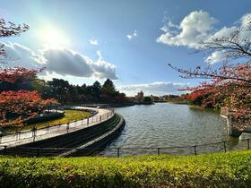 福島県郡山市愛宕町