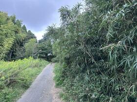 千葉県山武郡芝山町小池