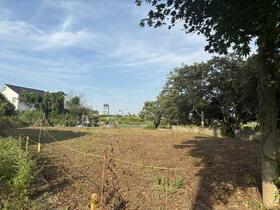 新潟県柏崎市城東１丁目