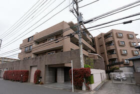 神奈川県川崎市多摩区菅稲田堤３丁目