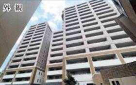 サンリヤン花畑?