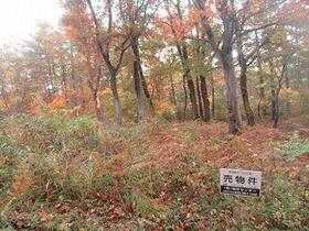 新潟県妙高市大字二俣