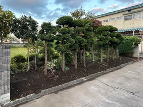 青森県弘前市大字富士見町