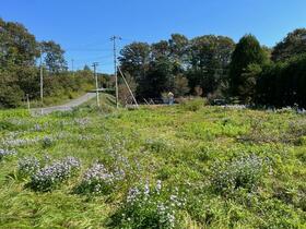 北海道勇払郡厚真町字豊沢