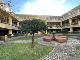 ライオンズパレス山川