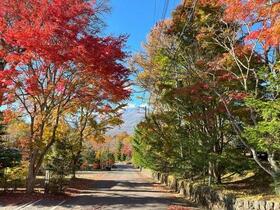長野県北佐久郡軽井沢町大字長倉鶴溜