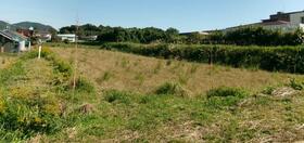 鹿児島県鹿屋市白水町