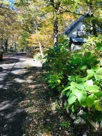 栃木県那須郡那須町大字高久乙