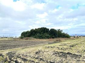 福岡県久留米市三潴町高三潴