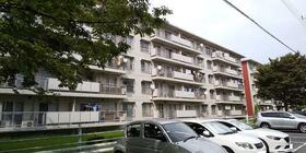 真砂一丁目団地