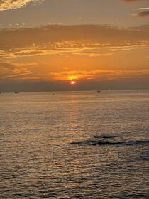 和歌山県西牟婁郡白浜町椿