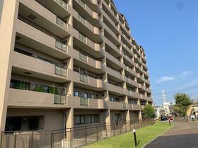 神奈川県横浜市都筑区桜並木