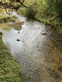 大阪府豊能郡能勢町天王